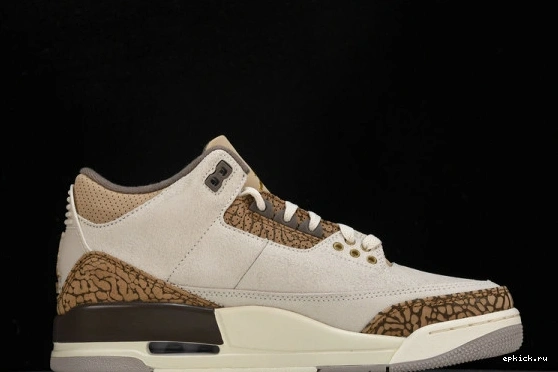 Cheap EP  CT8532-102 Palomino CT8532-102 Jordan Retro 3  1229